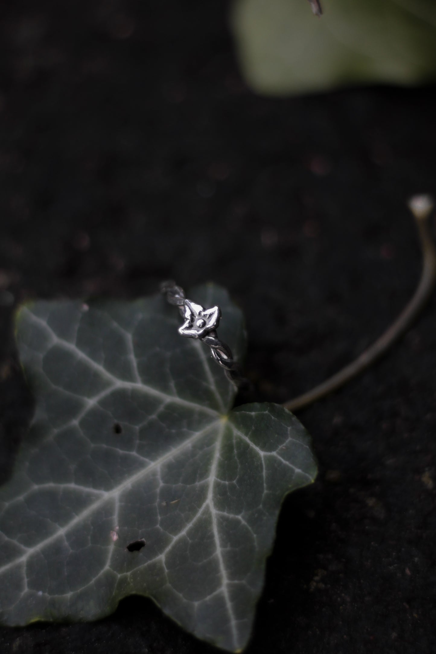 NÁNDILAS Elven Ivy Ring in Sterling Silver