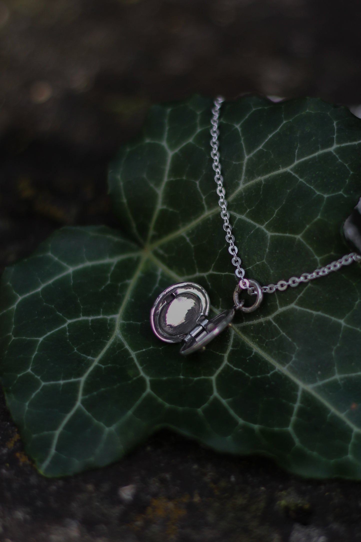 CLUARAN Distel Medaillon aus Sterlingsilber