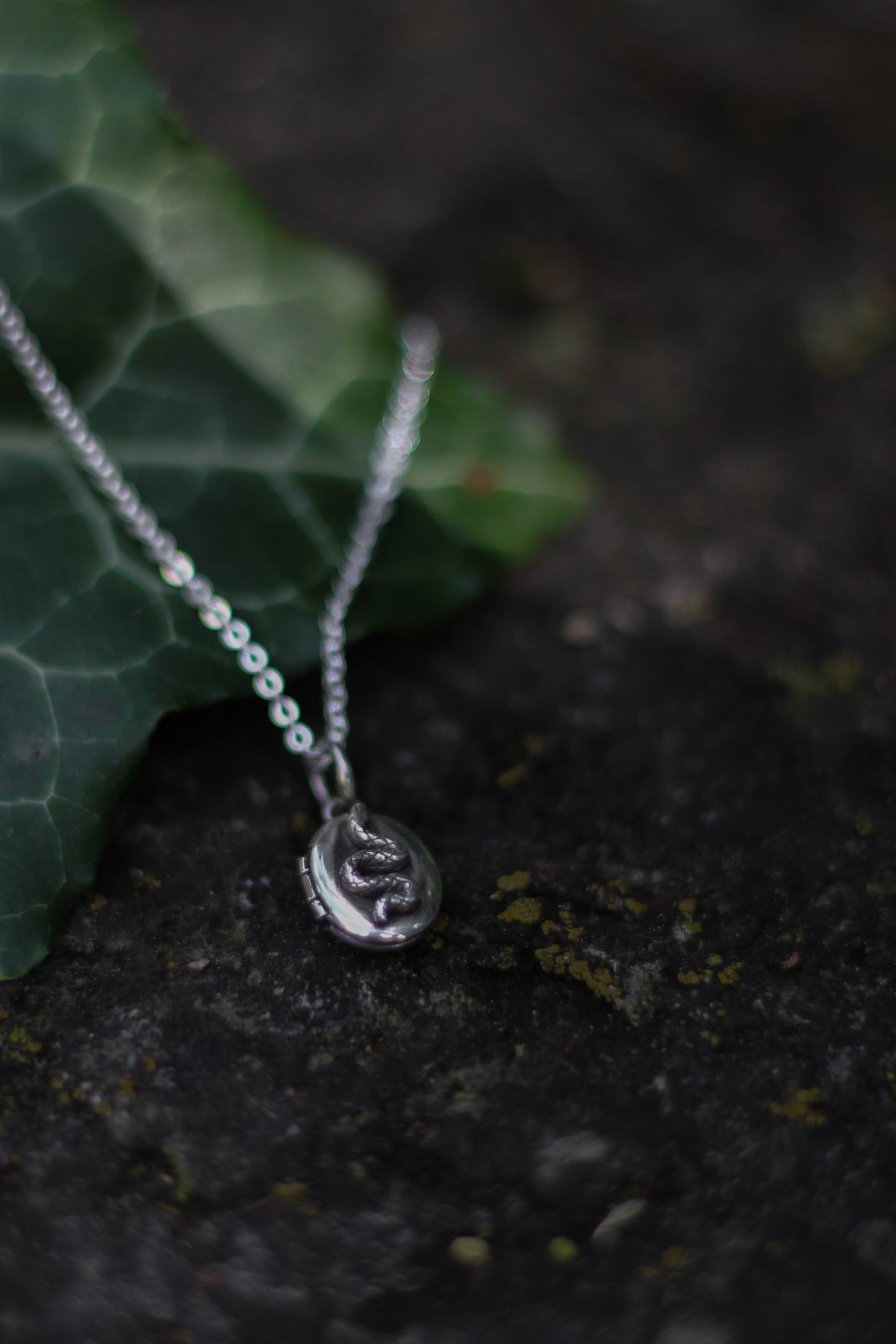 CLUARAN Distel Medaillon aus Sterlingsilber