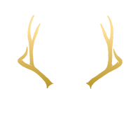 Witchling Workshop